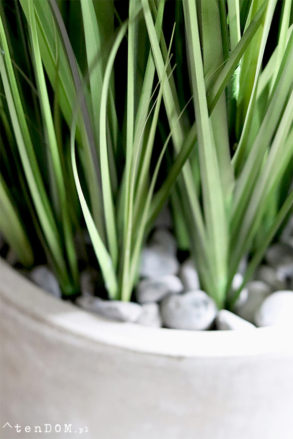 Concrete New, wysokiej jakości sztuczna trawa w betonowej donicy, wys. 175cm