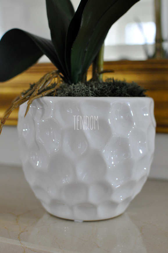 storczyk Bianco, wys.70cm