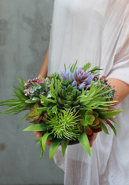 Maria, kompozycja sukulenty w okrągłej donicy, wys.16cm