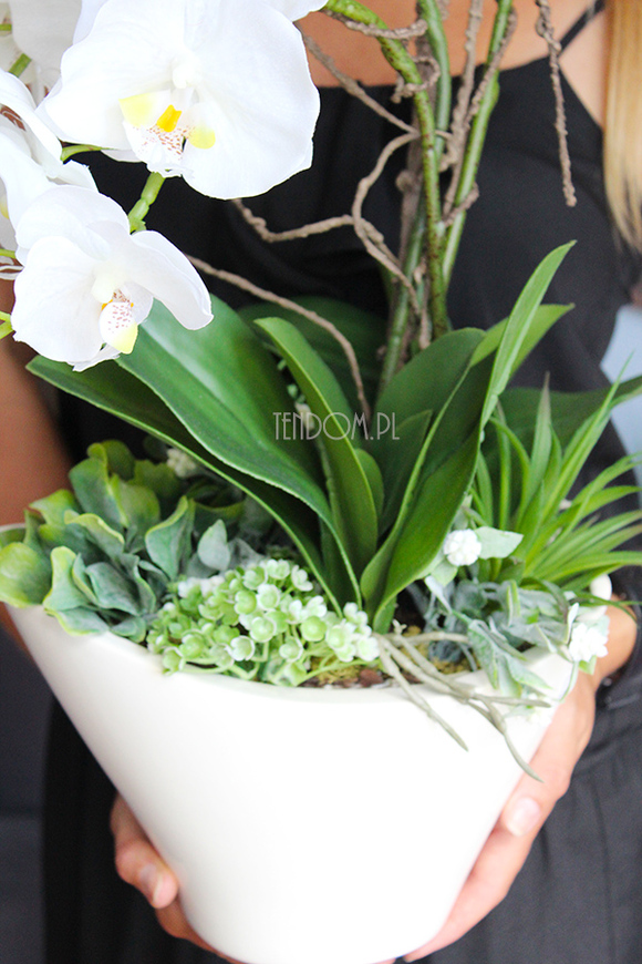 nietuzinkowy storczyk sztuczny Panata, wys.54cm