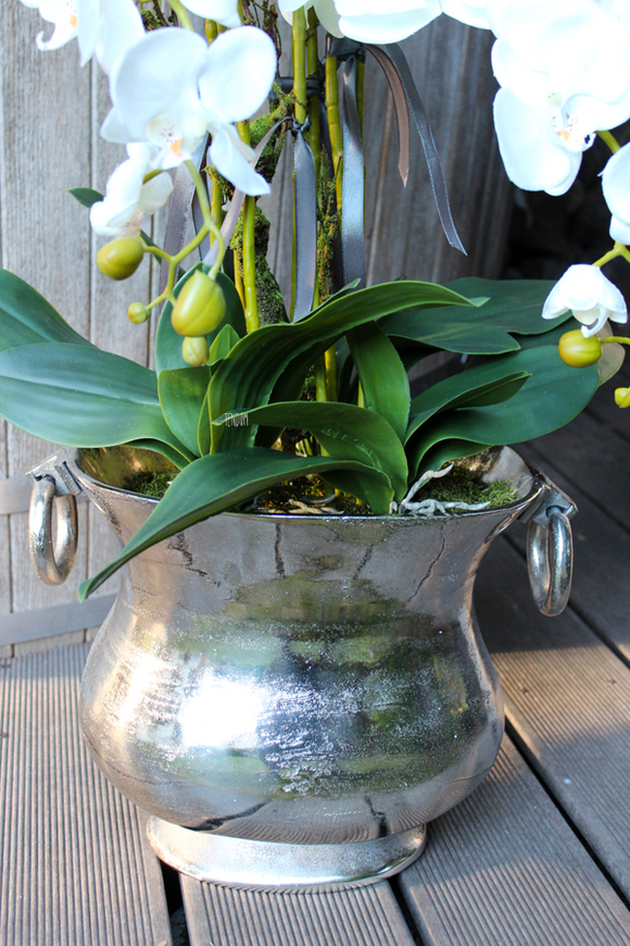 duży storczyk w aluminiowej donicy Bella Italia wys.85cm