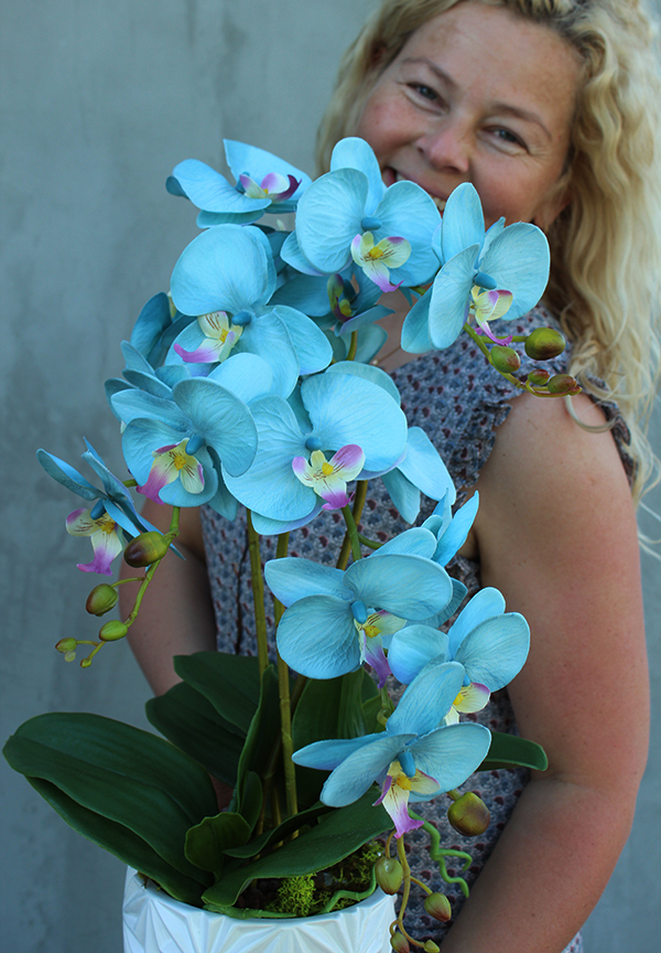 błękitno - turkusowy storczyk w białej zdobionej donicy, Mally, wys.62cm 