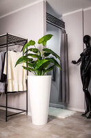 Della donica biel z wewnętrzną półką 49x90cm