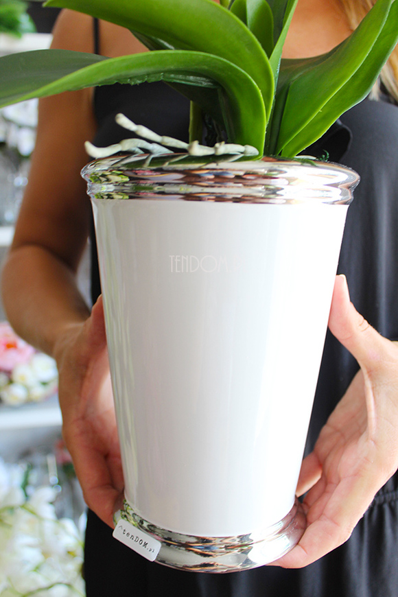 storczyk Biały w biało-srebrnej donicy, wys.55cm