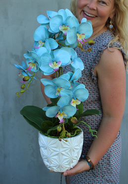 błękitno - turkusowy storczyk w białej zdobionej donicy, Mally, wys.62cm 