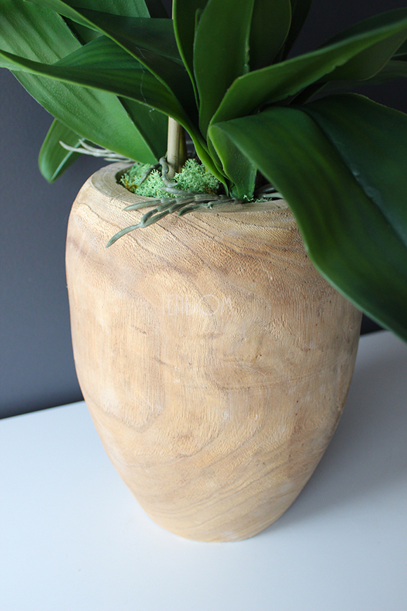 biały storczyk Wood w nowoczesnej, drewnianej donicy wys.90cm