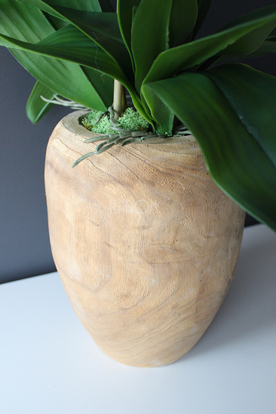 biały storczyk Wood w nowoczesnej, drewnianej donicy wys.90cm