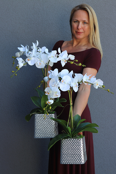 Silver Tenno, storczyk w srebrnej donicy o oryginalnej fakturze, wys.62cm 