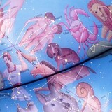 stellare Plus globus podświetlany astralny, konstelacje gwiazd, kula 30cm Nova Rico