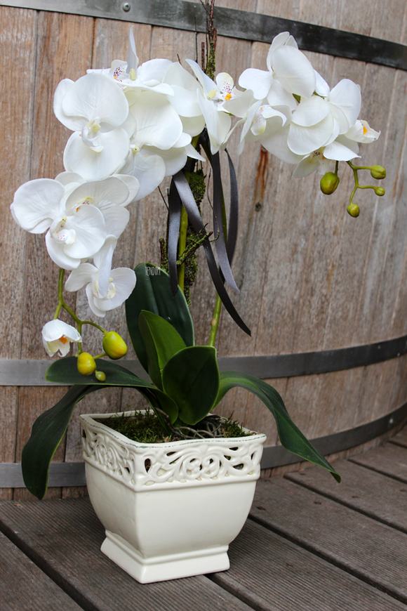 storczyk sztuczny Belladonna, wys.57cm