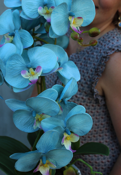 błękitno - turkusowy storczyk w białej zdobionej donicy, Mally, wys.62cm 