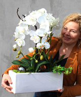 Alana, storczyk w minimalistycznej donicy, wys.50cm