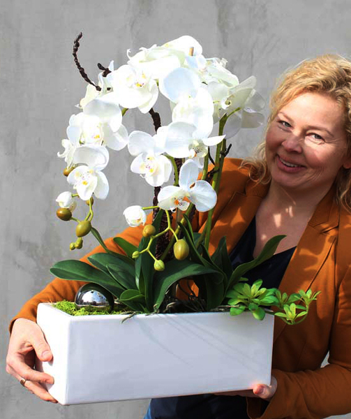 Alana, storczyk w minimalistycznej donicy, wys.50cm