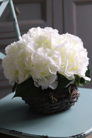 bogaty kosz Satra z białymi hortensjami, wys. 22 cm, mniejszy 