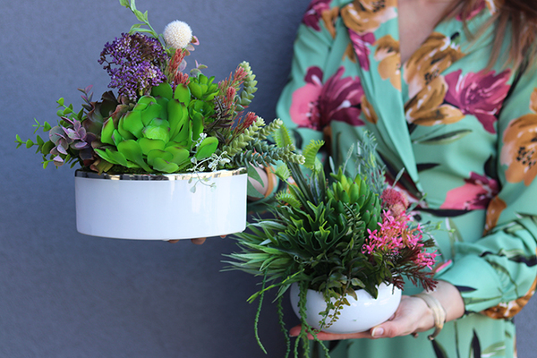 Kretoma, kompozycja sukulenty w okrągłej donicy, wys.18cm