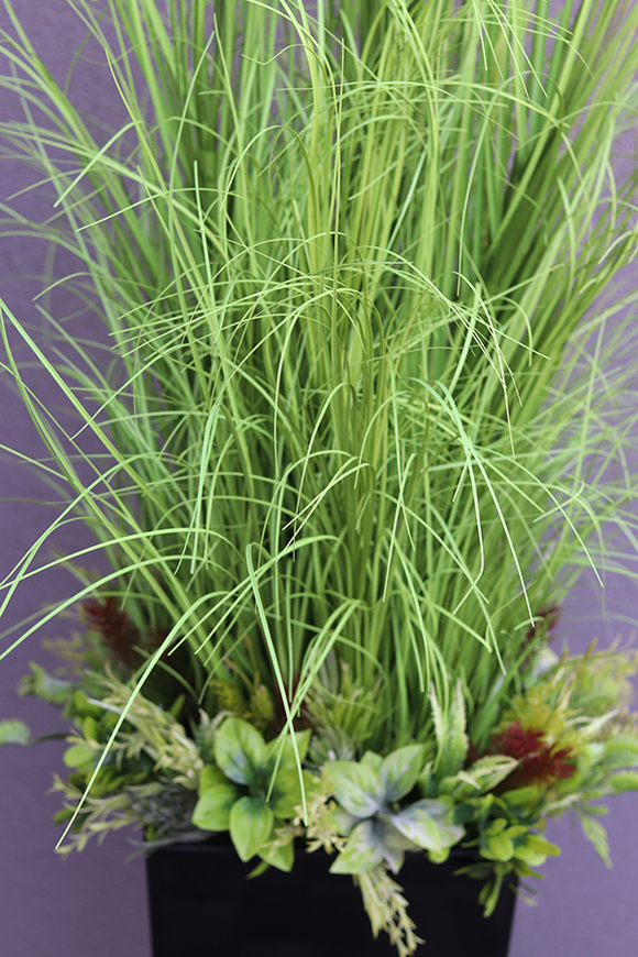 Anna Black, kompozycja z traw w czarnej donicy, wys.ok.160cm 