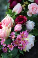 girlanda pogrzebowa, Rosalinda, 1m, na metry