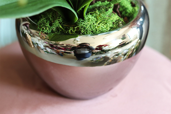 Aurelia Silver Small, elegancki storczyk w srebrnej donicy, wys.65cm