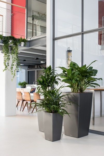 Cubico Premium, elegancka donica z nawadnianiem, szara, wys.75cm