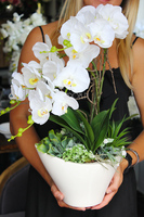 nietuzinkowy storczyk sztuczny Panata, wys.54cm