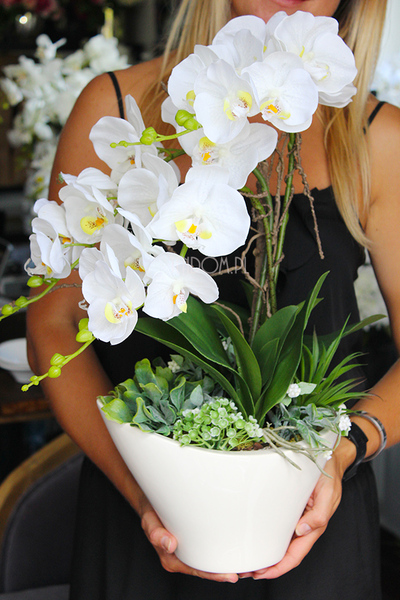 nietuzinkowy storczyk sztuczny Panata, wys.54cm