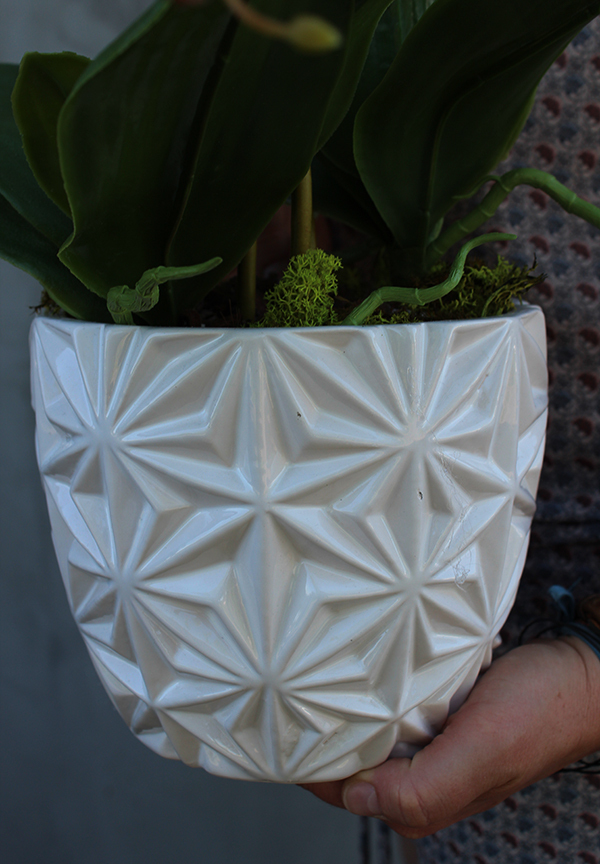 błękitno - turkusowy storczyk w białej zdobionej donicy, Mally, wys.62cm 