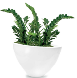 Fiberglass donica Queen White 76x38x47cm