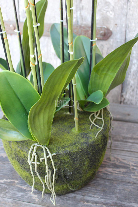 Andaluzja A storczyk sztuczny - wkład do donicy, wys.120cm