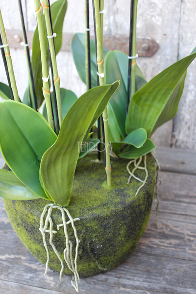 Andaluzja A storczyk sztuczny - wkład do donicy, wys.120cm