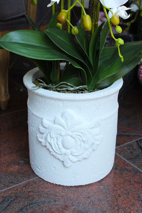 storczyk Casandra w białej donicy, wys.84cm