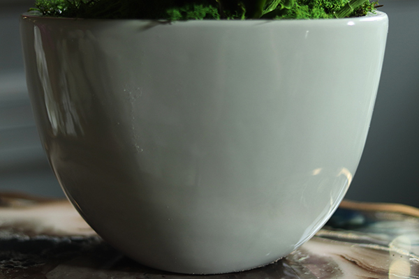 Cinderella Grey Big, elegancki storczyk w szarej donicy, wys.74cm 