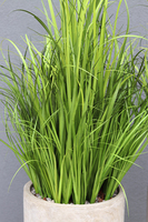 Concrete, wysokiej jakości sztuczna trawa w betonowej donicy, 1 szt. wys.175cm 