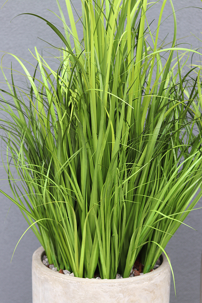 Concrete, wysokiej jakości sztuczna trawa w betonowej donicy, 1 szt. wys.175cm 