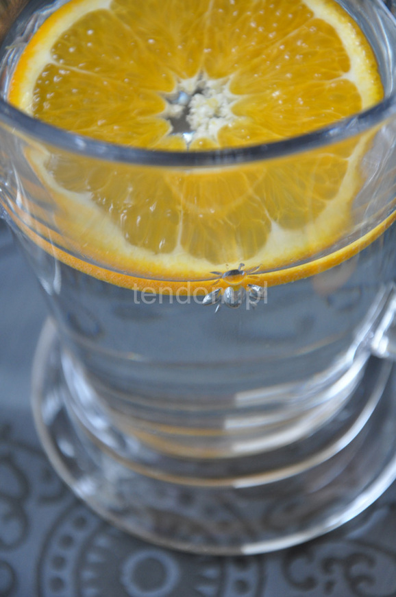 Pszczoła La Rochere, dzbanek szklany do napojów, poj.1000ml