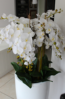 Sztuczny storczyk duży Grande w białej donicy, wys. 150cm