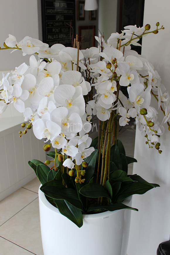 Sztuczny storczyk duży Grande w białej donicy, wys. 150cm