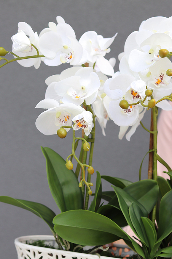 Milatea, sztuczny storczyk w długiej ażurowej donicy, wys.55cm