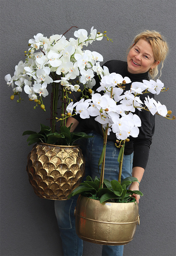 GoldenRose, bardzo elegancki storczyk, wys.100cm