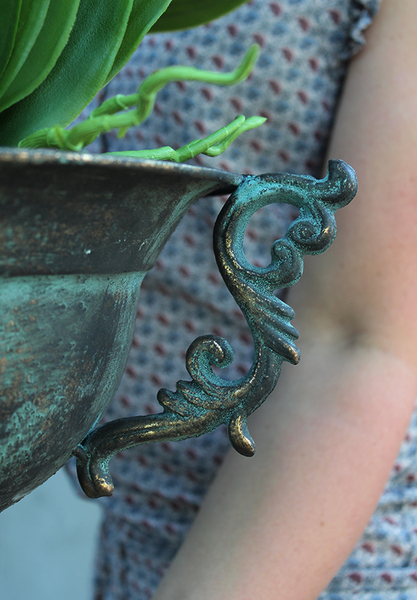 szlachetny storczyk Regenta w metalowym pucharze, wys.82cm