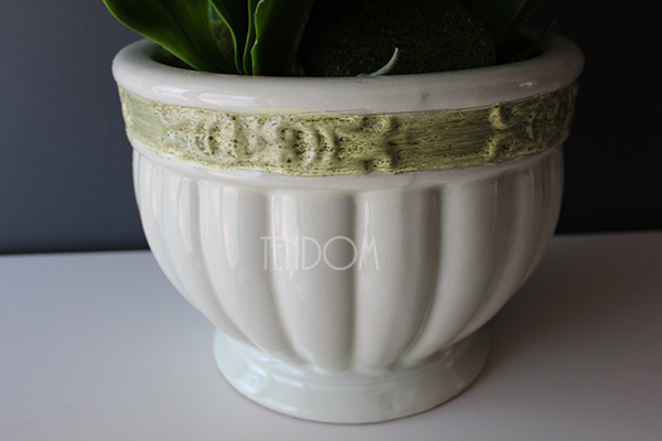 Konferencja storczyk w tradycyjnej donicy, wys.80cm