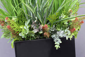 trawy w czarnej donicy fiberglass, Verdana, wys.160cm