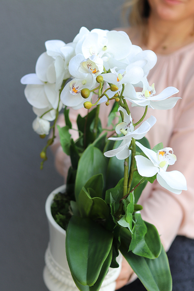 Miłość, sztuczny storczyk z dodatkiem pędów bluszczu, wys.49cm