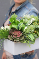 Japano, nowoczesna dekoracja w białej ceramicznej donicy, wys.22cm