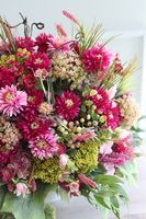 Astry Różowe, kompozycja kwiatowa w naczyniu, wym.47x50cm