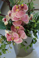 Lucille Granada, kompozycja ze storczykiem w srebrnym wazonie, wys.97cm