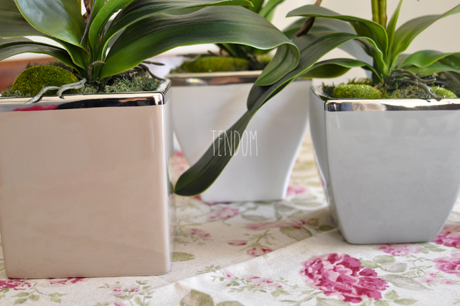 storczyk w ceramicznej, beżowej donicy Elegance 1, wys.77cm