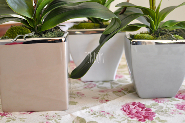 storczyk w ceramicznej, beżowej donicy Elegance 1, wys.77cm