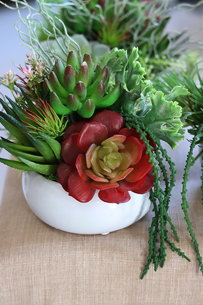 Maria Biel, kompozycja sukulenty w okrągłej donicy, wys.16cm