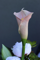 Kallena, bukiet nagrobny, dł.45cm