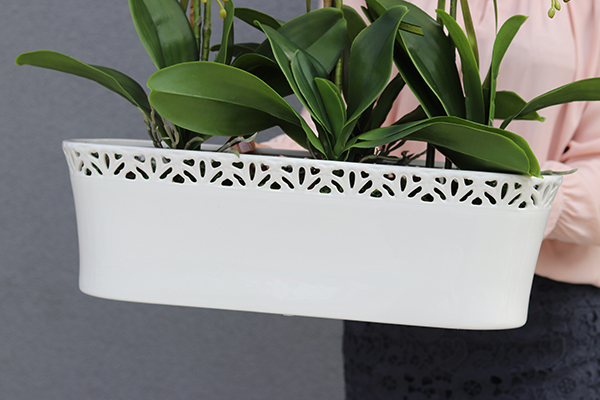 Milatea, sztuczny storczyk w długiej ażurowej donicy, wys.55cm